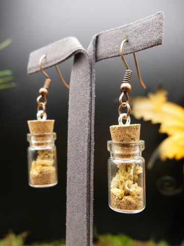 Boucles d'oreilles en fiole S - fleurs séchées jaunes